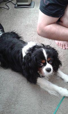 negrete_carrie's profile picture. Just a down to earth woman who is looking for a friend and a few laughs!