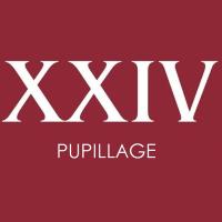 Pupillage at XXIV(@XXIVpupillage) 's Twitter Profile Photo