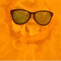 Chisholm Elem. (@ceswildcats) 's Twitter Profile