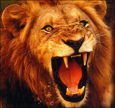 06pack's profile picture. 