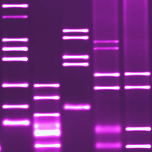 jackgaynor's profile picture. Molecular Biology Professor at Montclair State University.  Exploring life, one genome at a time.