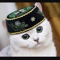 タタール語会話bot (@tatar_kaiwabot) Twitter profile photo