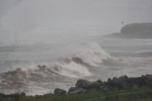 lexi_chanel's profile picture. 