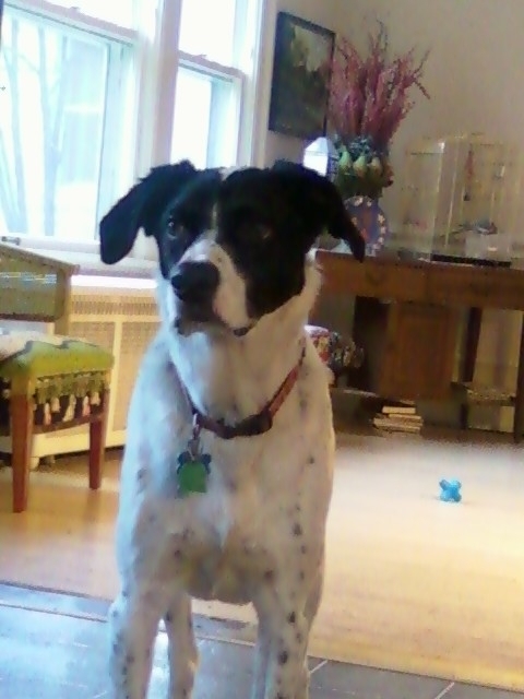 UDKauf's profile picture. Makin my way on fire escapes