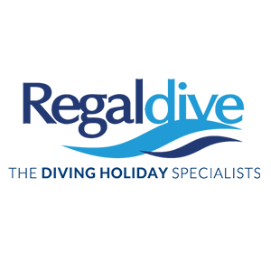 Diving Holiday Specialist offering superb liveaboard and land-based #scubadiving trips to destinations worldwide. Tel:+44(0)1353 659 999 #divingadventures #dive