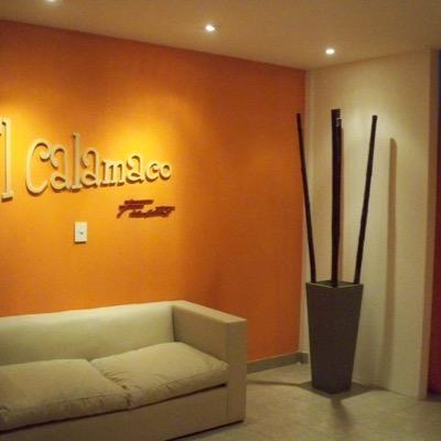 ElCalamaco's profile picture. 