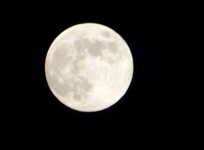 HVbhs's profile picture. 