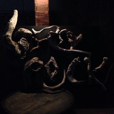 gypsyrock98's profile picture. 