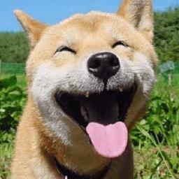 sparkwt's profile picture. 