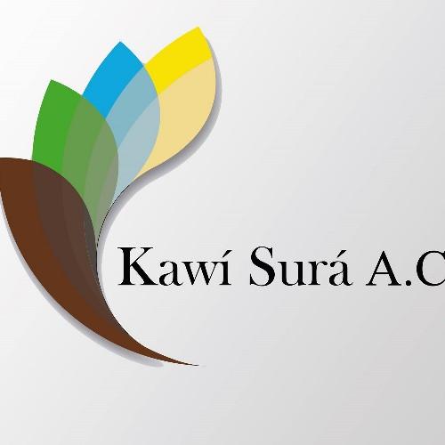 En Kawí Surá somos un equipo multidisciplinario de profesionistas que fomenta la conciencia ecológica.