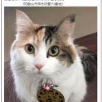 Kimiko (@spsolid) Twitter profile photo