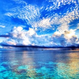 kigyou_koki's profile picture. 高校生なのですが起業などに興味あります！！【自分が好きなことを精一杯‼︎】IT/プログラミング/アプリ開発/Webデザイン/イベントなどにも興味あるのでビジネスをしてる方、しようとしてる方、どなたでも気軽にDMお願いいたします！！！  フォロバ100%/ 相互フォロー