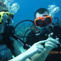 Sean Magin (@imaginsean) 's Twitter Profile