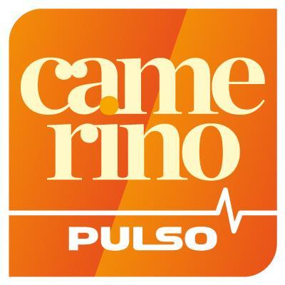 Camerino_Pulso Profile Picture