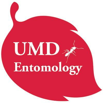 UMD's Department of Entomology makes new strides everyday in Ecology, Biology, Genetics, and Pest Management.
