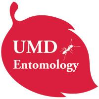 UMD Entomology(@UMDEntomology) 's Twitter Profile Photo
