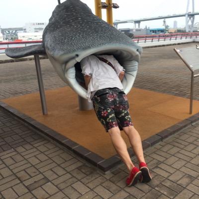 ゆーさっくん 駿台あか Ny Twitter