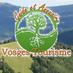 Vosges Tourisme (@vosgestourisme) Twitter profile photo Vosges Tourisme (@vosgestourisme) Twitter profile photo