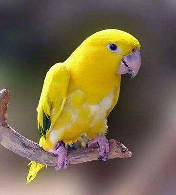 fashionreadyma1's profile picture. 