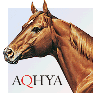 The official Twitter of the world's largest equine breed youth membership organization. Lovers of the American Quarter Horse. #AQHYA #ChallengeAQHYA