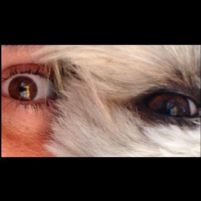 KristLBcn's profile picture. 