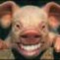 PigskinABlanket (@pigskindfs) 's Twitter Profile