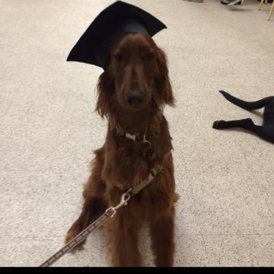 just your regular Yale Graduate, PHD holdin', conservative thinkin', American-Irish Setter.