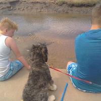 Claire Berry (@claireberry) 's Twitter Profile