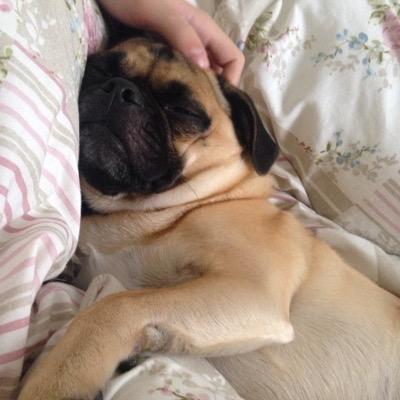 thebookshelf_92's profile picture. Love reading, passionate about becoming an author but currently lack the commitment to put pen to paper.