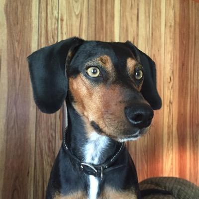 DianeWendel's profile picture. 