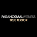 Paranormal Witness (@ParanrmlWitness) Twitter profile photo