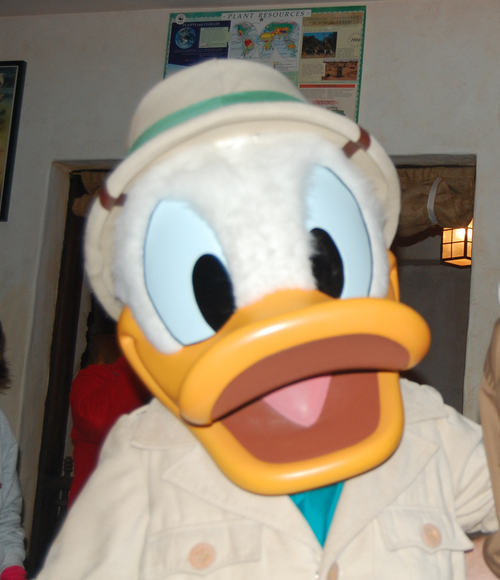 docduck13's profile picture. 