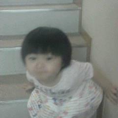 sakiayosi's profile picture. 圧着端子と申します  釣り、山菜取り、山歩き、家庭菜園が趣味の老人です