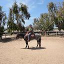 Barbara Land - @barbaral671 - Twitter