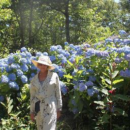 codemeister8's profile picture. 