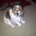lucy helyer (@lucyhelyer) Twitter profile photo lucy helyer (@lucyhelyer) Twitter profile photo