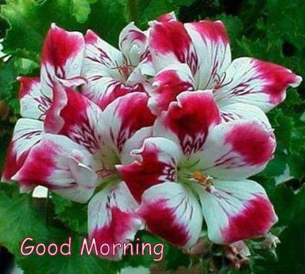 SudhirS39298930's profile picture. study