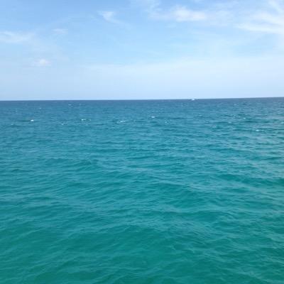 tressa_lyon's profile picture. 