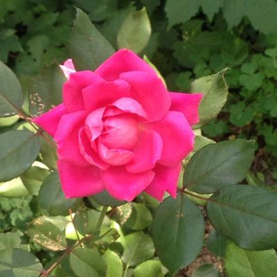 kendraannek's profile picture. sorry if i added u on my old account i forgot my password so i readded u so sorry again