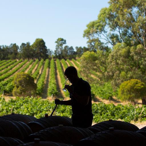 We're a Red 5 Star James Halliday rated winery in Lyndoch, Barossa. We grow top-quality fruit from which we make premium wines to suit every palate!