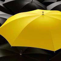 Yellow Umbrella (@brightworkmedia) 's Twitter Profile