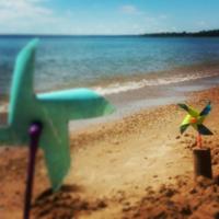 Tyler Breuch ©🌻 (@flattop100) 's Twitter Profile