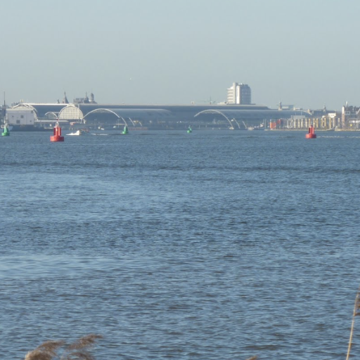 mijngekwetter's profile picture. 