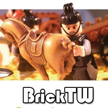 We are a hobbyist for Oriental myth quite fascinated. BrickTW transform the historical relics, so that everyone can take part in Eastern culture changes.