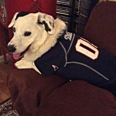 GrantaMass's profile picture. 