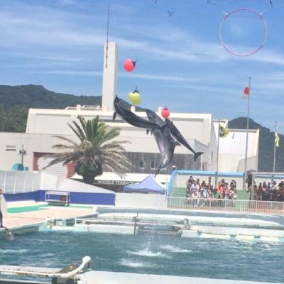 refertoyori's profile picture. 🐰🎀