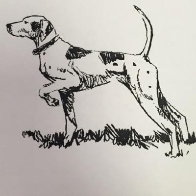 drossFACS's profile picture. 