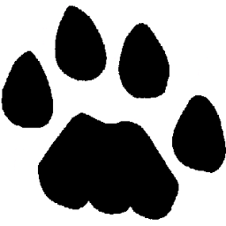 This profile is maintained by High Country Elementary.https://t.co/H5S7Sfj4OY