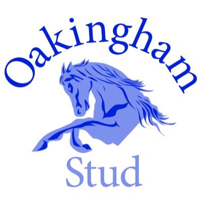 Oakingham Stud is a showjumping and breeding facility based in the Berkshire countryside producing horses for the future.