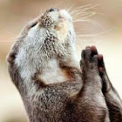 Cash App: $4mela God is Love❤
Senior widow & 2 dogs.
Holistic Health Consultant